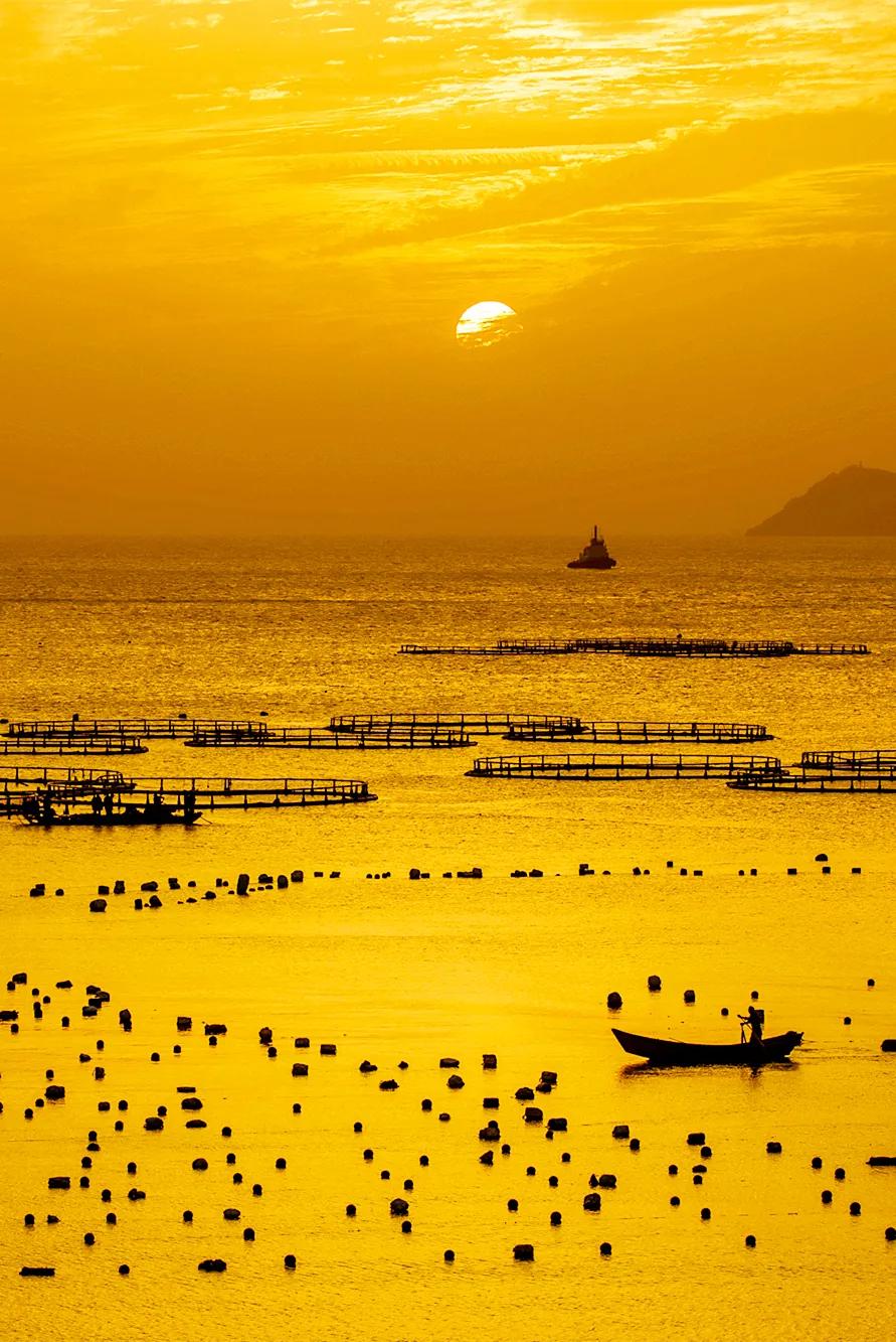 温州吃的有什么特色,温州有什么好吃的地方