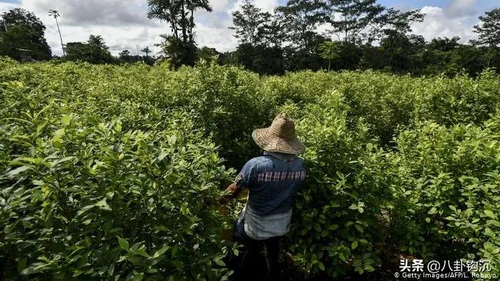 *品毒**战争背后的商业秘密:价格博弈、人力资源、特许经营