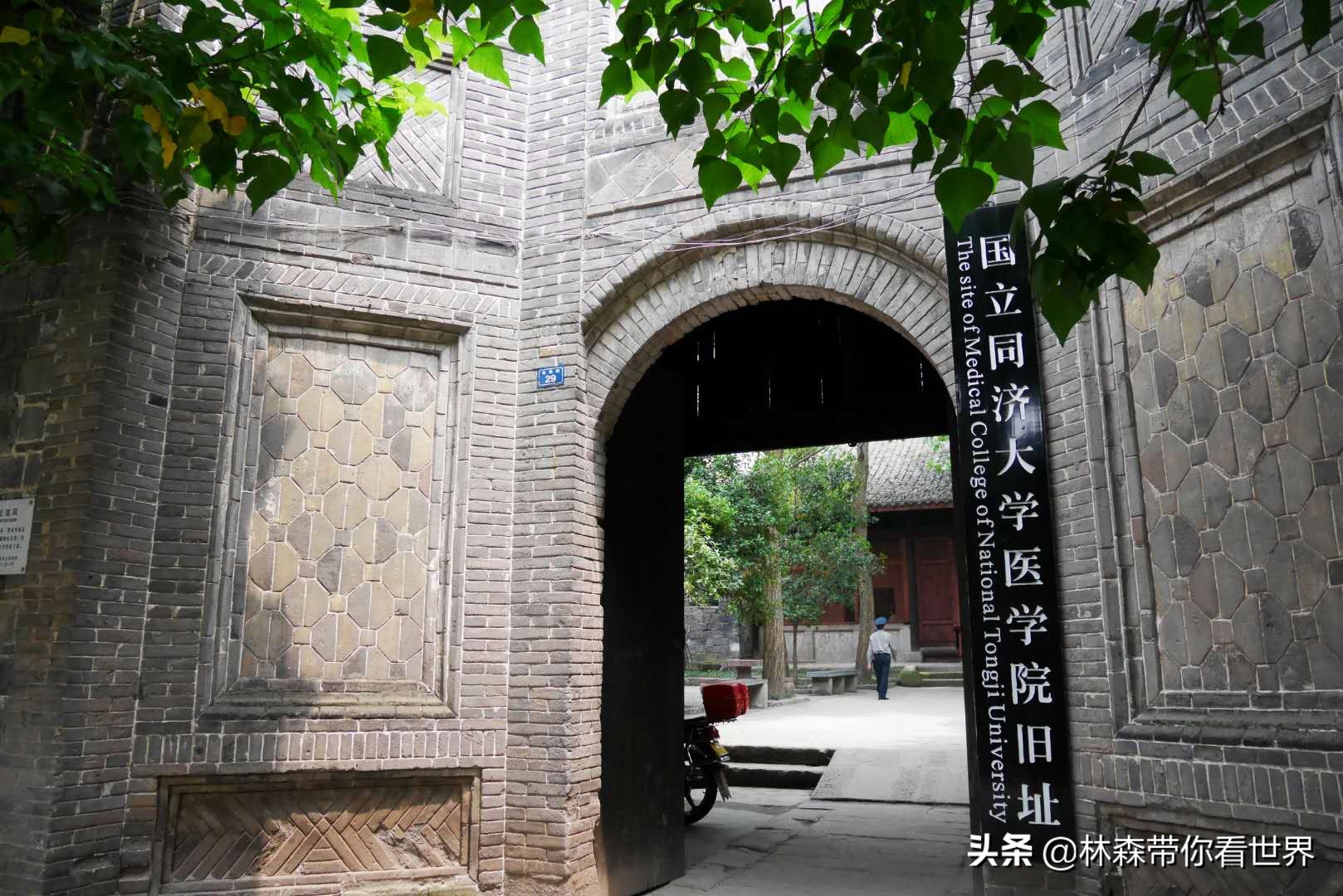 林森完整版免费观看,林森完整视频