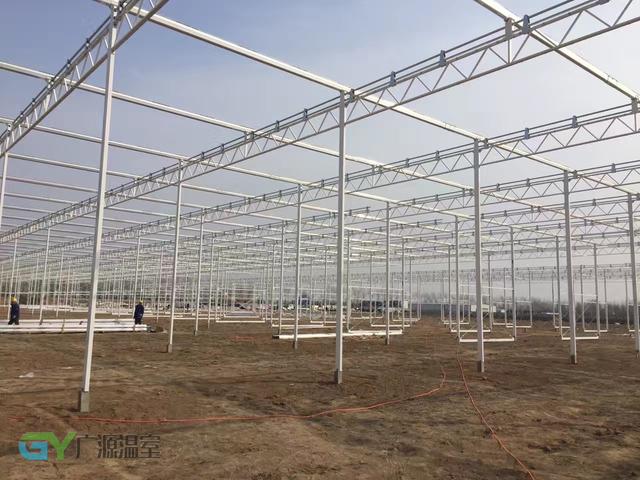 温室大棚有哪些优点,蔬菜大棚和温室大棚有什么不一样