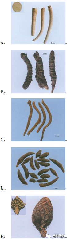执业药师2021年中药一真题,执业药师中药一考题解析