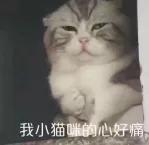 wpsoffice和微软office,wpsoffice和微软的office