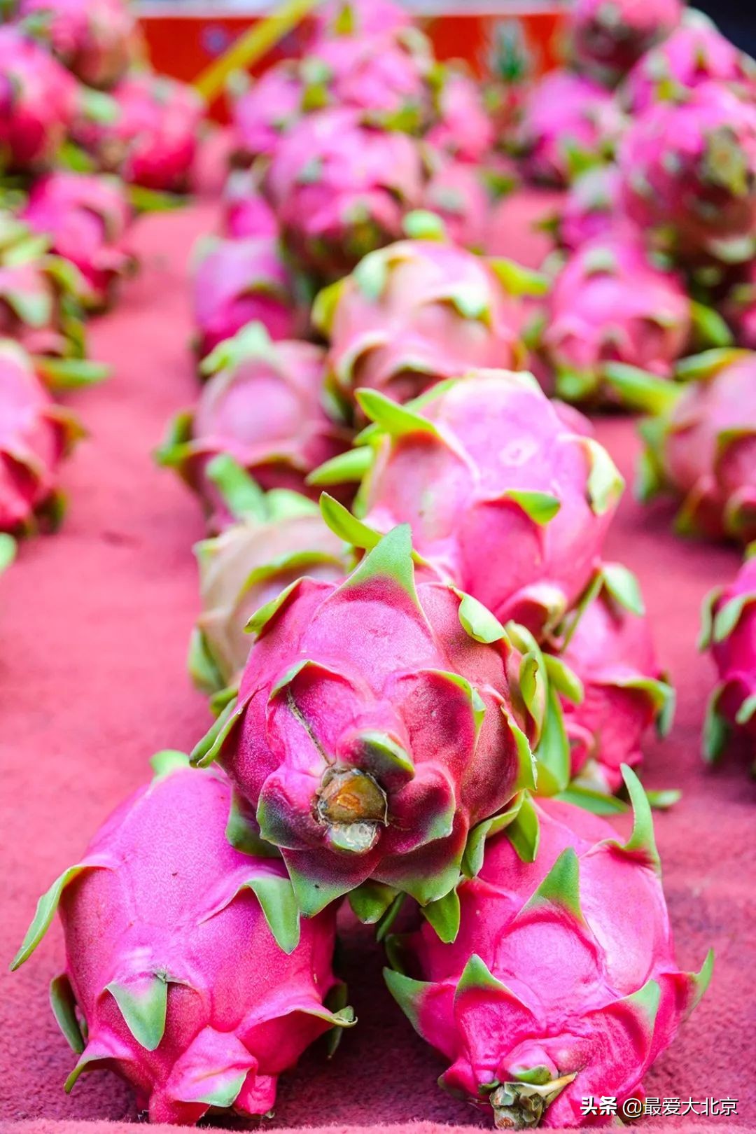 带你逛北京最大早市,北京正宗早市推荐