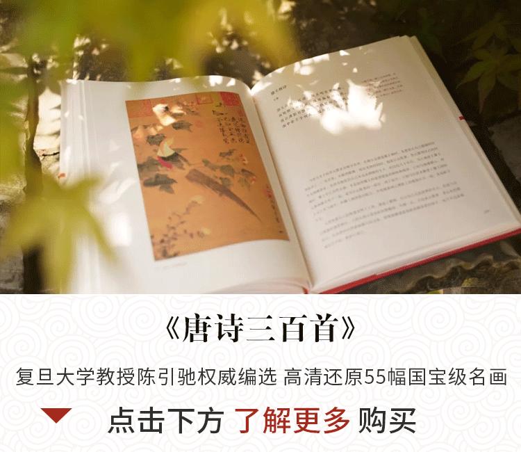 36首唐诗一部唐诗极简史,27首巅峰宋词