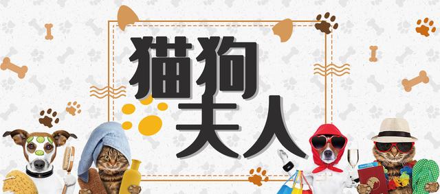 狗狗身上有皮肤病用什么药,狗狗皮肤大面积泛红怎么治