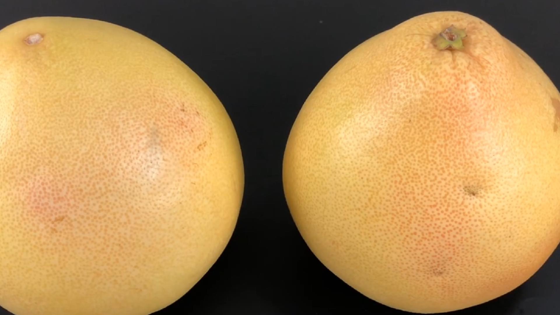 秋季这几种水果吃多了很养人,秋季绝不能多吃的10种水果