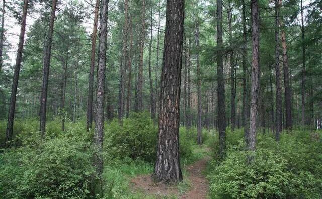 流浪地球旅游排名,徒步旅行流浪地球