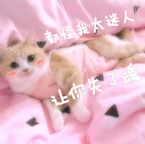 这一年值得入手的平价好物,那些被吹爆的大牌护肤品