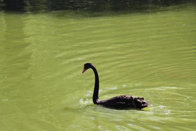 3250万像素仅售7649元，佳能新出的90D单反究竟有多香？