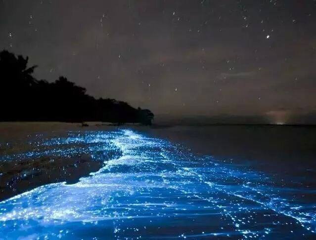 大连出发穷游去哪里比较好,大连穷游必去的十个地方推荐