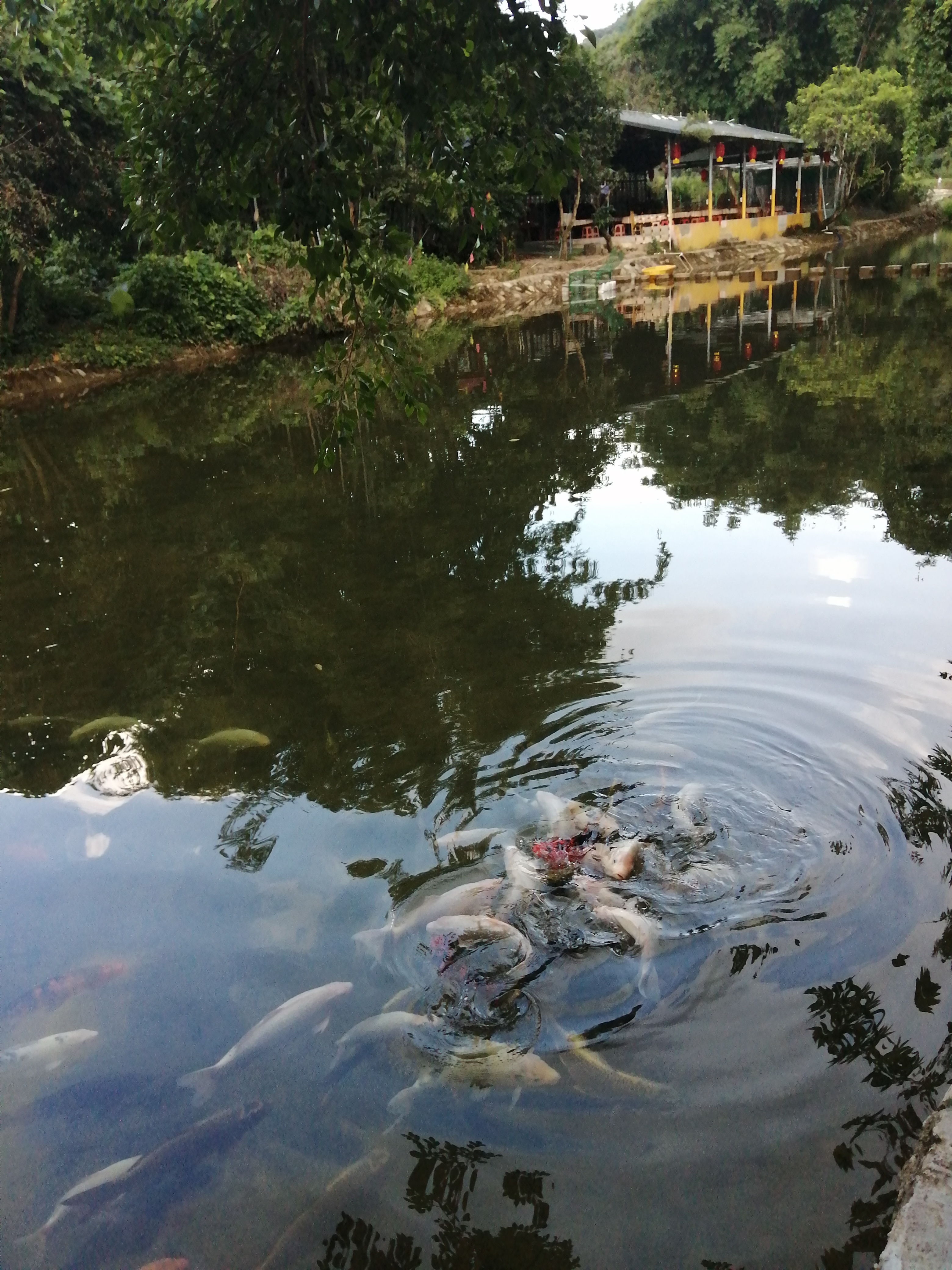 惠州罗浮山酥醪景区天然氧吧,罗浮山酥醪村天然氧吧民宿