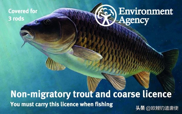 别人家的作业——英国钓鱼证制度