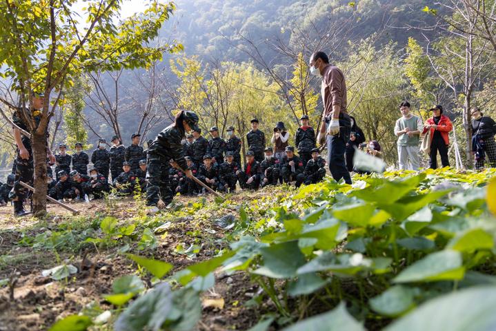 宜昌这个地方产美女，有一个大家都认识，现在还能让熊孩子涨知识