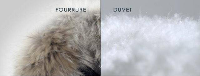 canadagoose羽绒服,加拿大鹅canadagoose价格