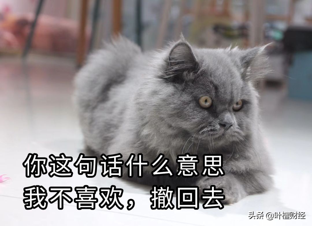 怒怼第三方催债,霸气回怼第三者