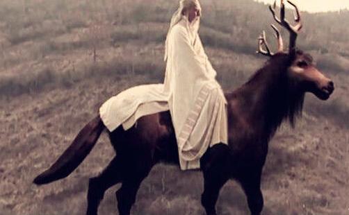 头像马和羊,头像马非马一样的动物