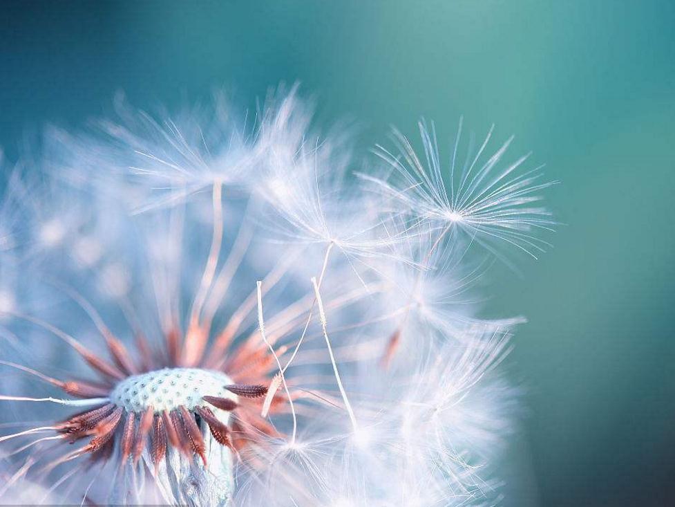 对待聪明人的办法,面对阴险狡猾的人该怎么回避他