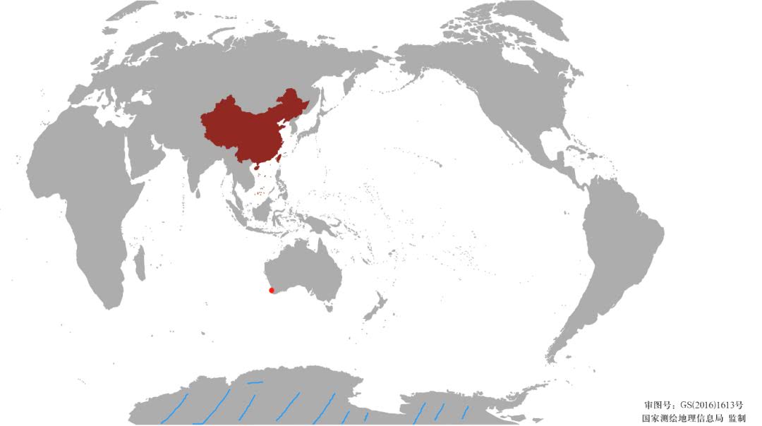 这地方是男人天堂,我们的大宝马也怕了