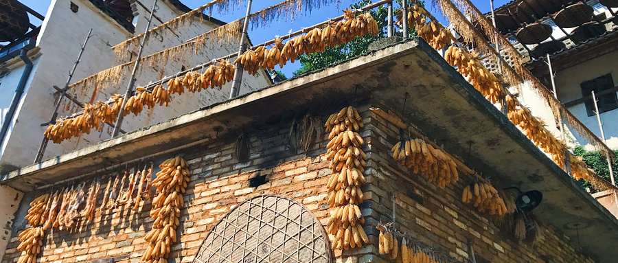 主动退出农村户口有什么政策,取消农村户口农民宅基地怎么处理