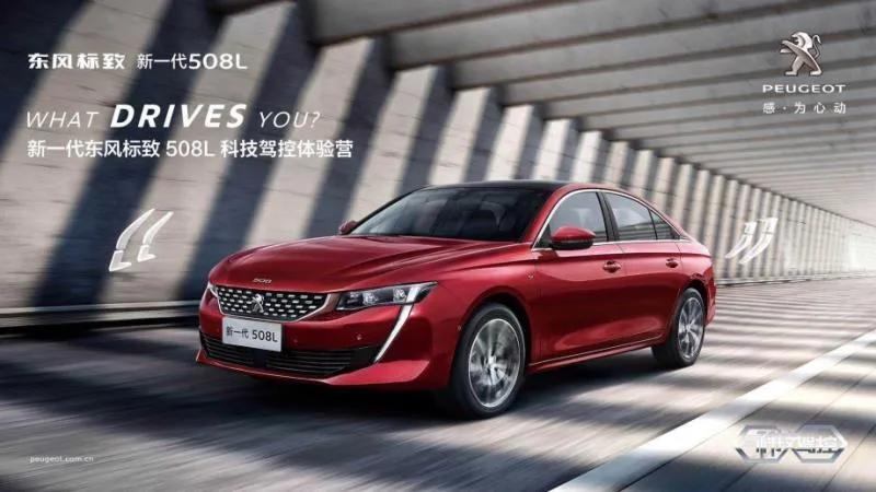 “全员销售”是惰政、怠政，是死路一条，好的公司从不出此下策