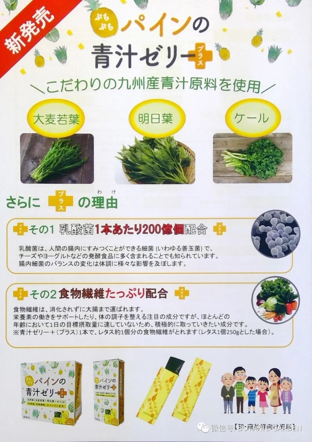 A-Z理研理化研究所简介