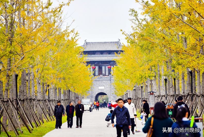 2018年冬天扬州赏花攻略,扬州11月秋景打卡地