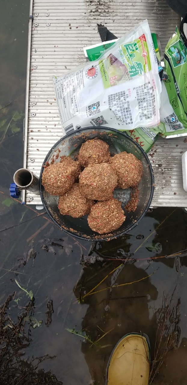 今年鸭绿江水丰湖钓鱼视频,丹东鸭绿江水丰湖