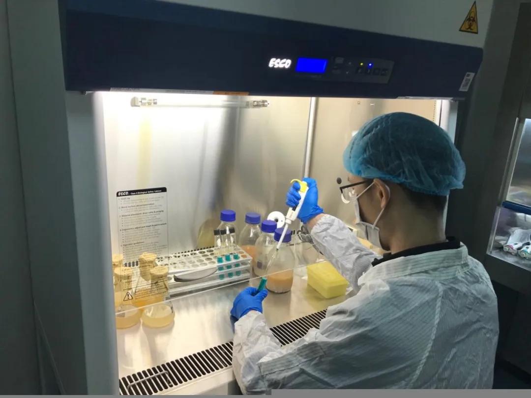 内外兼修方可行稳致远,正大康地饲料和天津正大哪个好