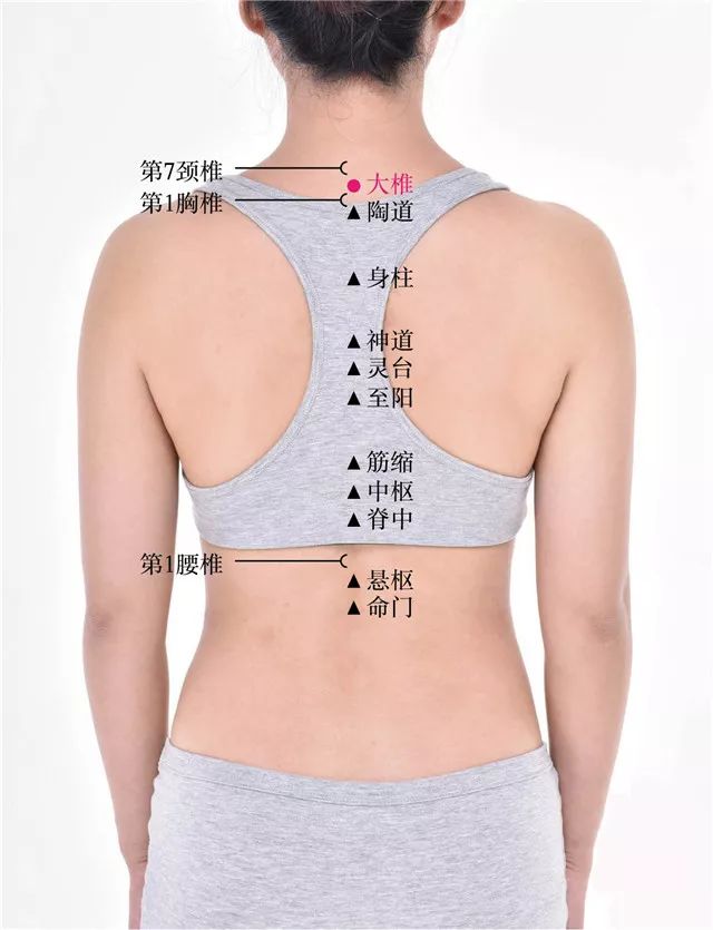 艾和不艾,决定了女人两种不同的人生!如果爱请深“艾”