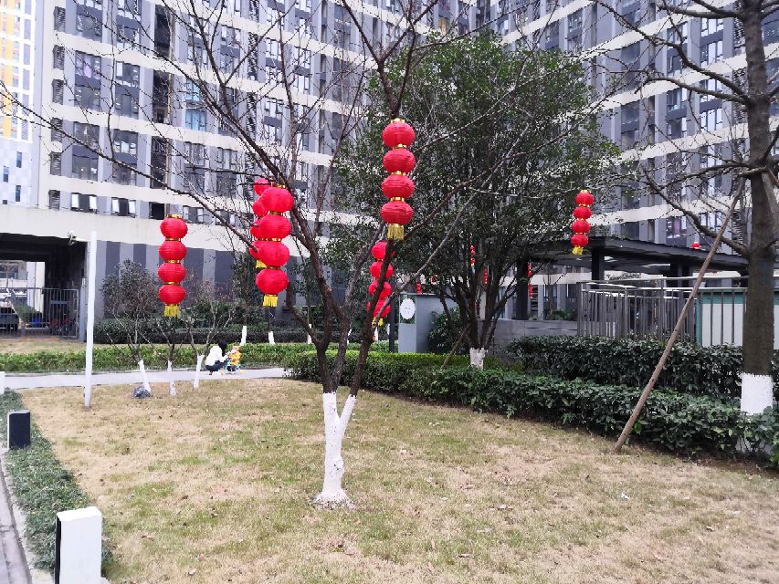 不知不觉中从夏天跑到了冬天,不知不觉跑到了冬天