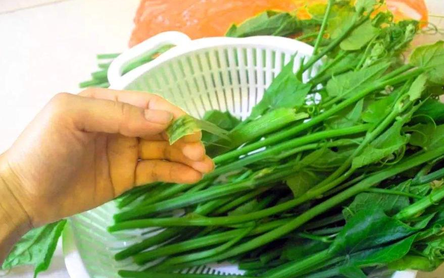 这菜炒起来比肉都香,这两样菜简单一炒就鲜香无比