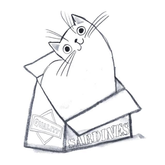 姑娘1天画1只猫坚持了100天 (坚持画猫100天的姑娘太有才了)