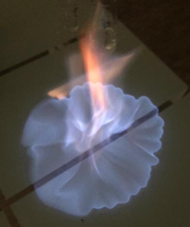 55度高脖绿瓶西凤酒辨别真假,黄标西凤酒55度最好喝的一款