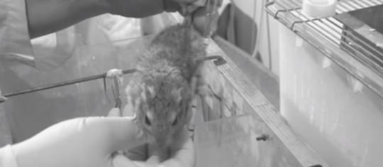 测灵魂有多重怎么测,科学家测试灵魂是否存在