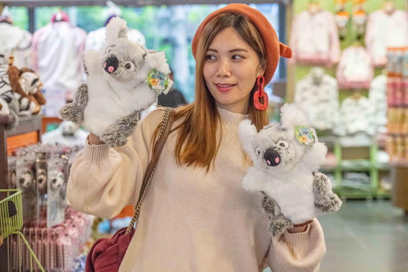 玩转广州长隆野生动物世界之行,广州长隆动物世界游玩攻略图