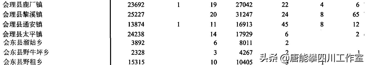 凉山行政区划历史变迁,凉山会理县城简介