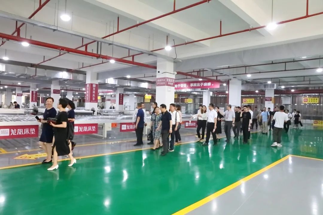 传经典致未来“龙凤家居66周年庆典”活动盛大举行