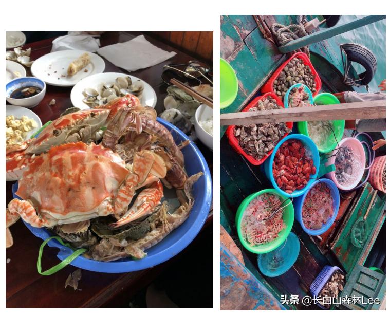 广西越南下龙湾旅游攻略,北海越南下龙湾跨国旅游线路