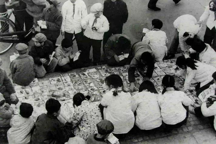 出道即巅峰国产,出道即巅峰一巅十六年