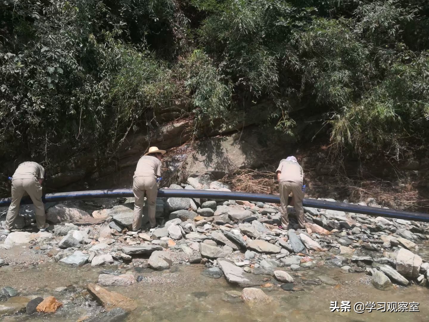 魏自龙：三十二年守基层，郧阳水利老黄牛