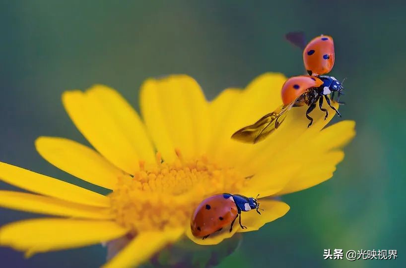 捕捉美好瞬间9秒视频,捕捉震撼的瞬间