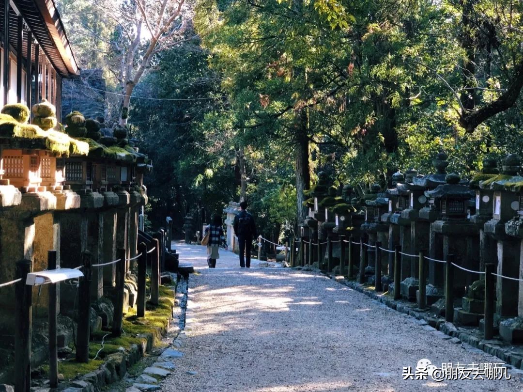 日本大阪京都自由行攻略大全,大阪京都奈良旅游攻略自由行