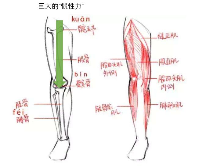 电梯35层下坠女子教科书式自救,电梯坠落跳一下能活命吗