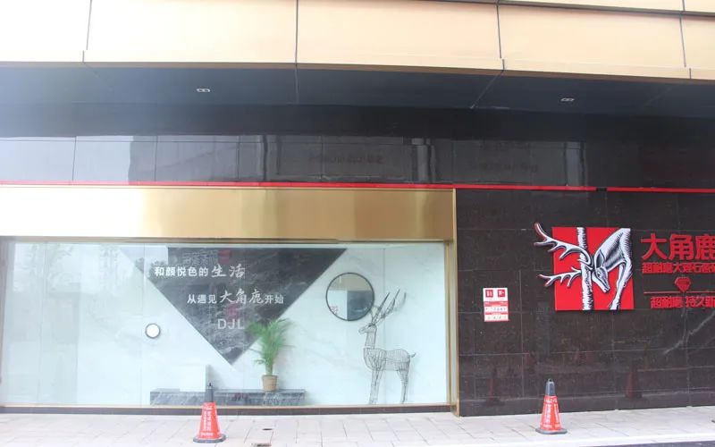 大角鹿为何能成为上海金山第一品牌？赵鑫华说：尊重能让人温暖