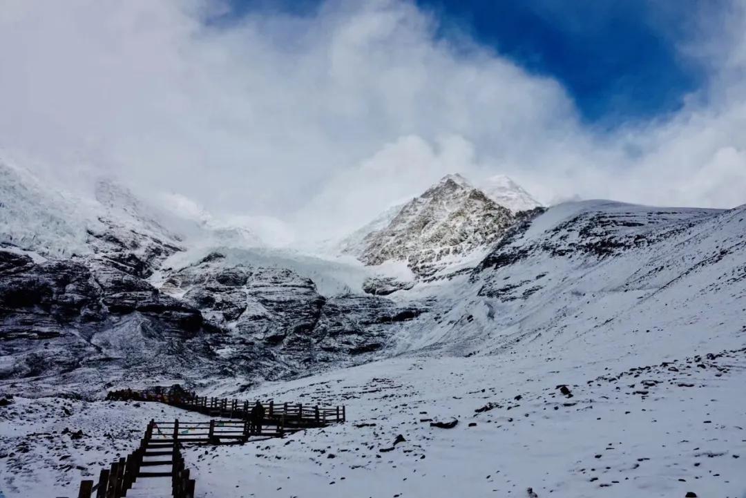 一位拥有多重身份的现代职业女性，偏偏钟情于*藏西**，是有病吗？