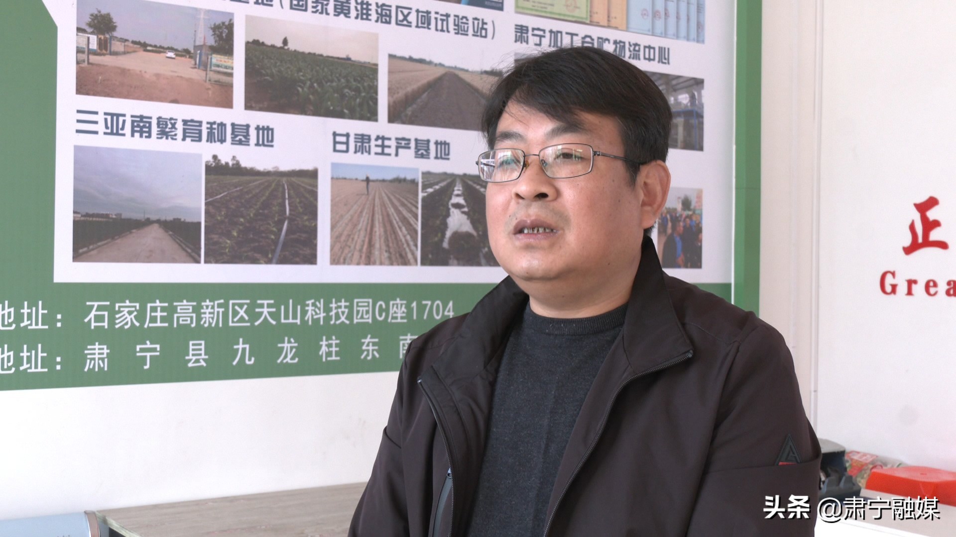 肃宁融媒,肃宁融媒怎么样