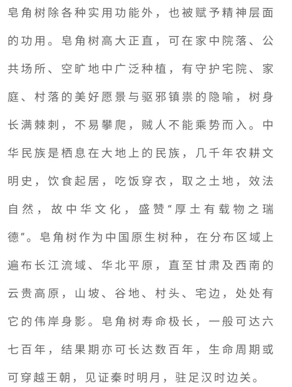 「书香佳韵」厦门市中级人民法院黄鸣鹤：台阶上的皂角树