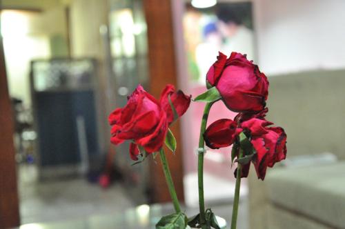 鲜花蔫了怎么做干花,怎样才能让鲜花做成干花永不褪色