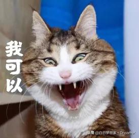 搴峰悍鐨勬帹鑽愮殑鐢靛奖,搴峰悍鐢靛奖鎺ㄨ崘