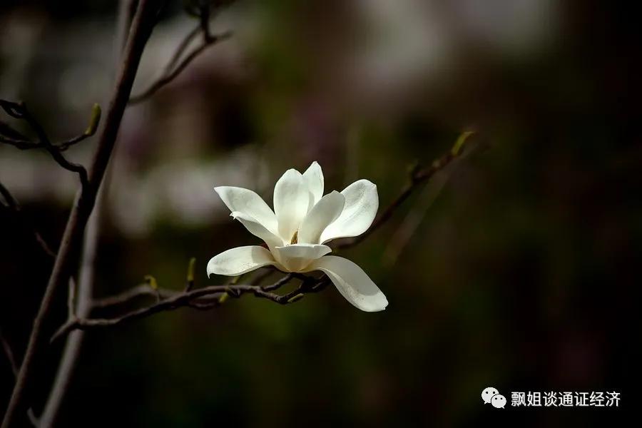 怎么推广抖音商城,怎么推广购物平台